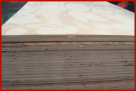 Madera para constructoras | Ferrex