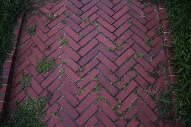 caminos rusticos jardin