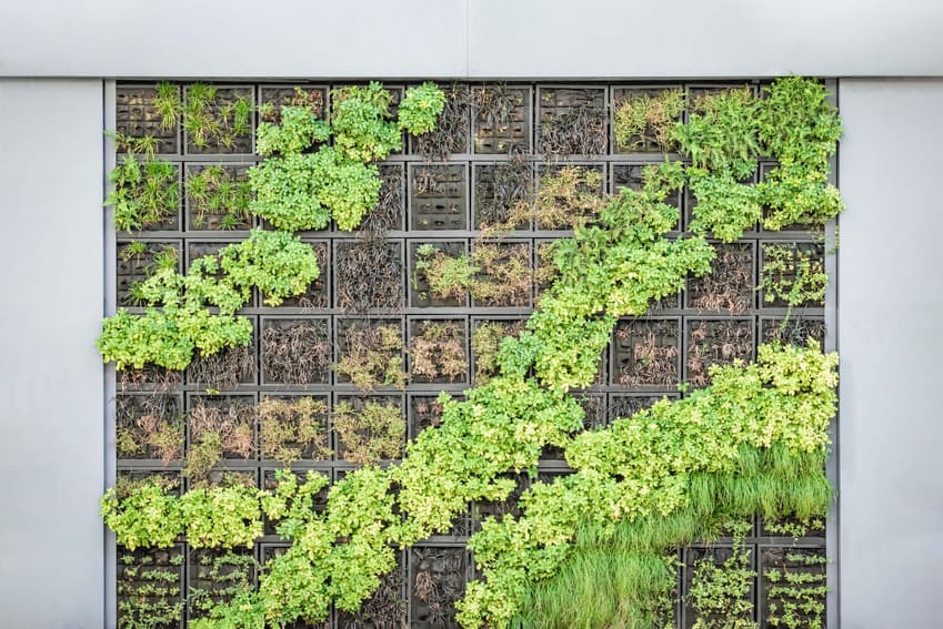 Cómo construir un jardín vertical